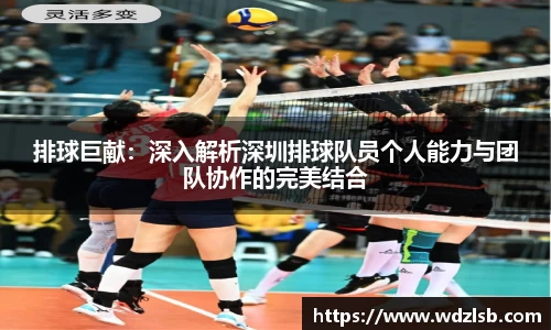 排球巨献：深入解析深圳排球队员个人能力与团队协作的完美结合